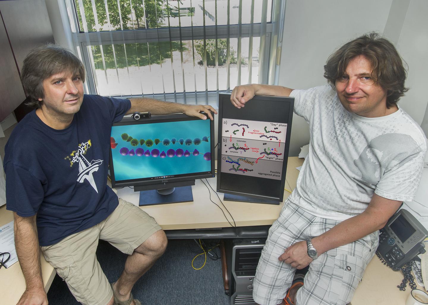 Scientists Model Origins of Life Transformation