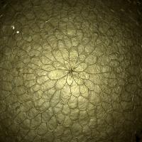 Golden Eggs -- Research as Art Alumni Award Winner