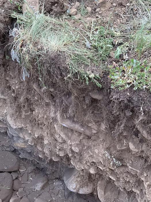 Research Shows Warming Impact on Soil Ecosystem