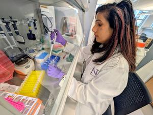 Study first author Pratima Saini in Abdel-Mohsen's lab