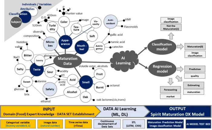 Spirit Maturation Data AI Transformation Work-Flow