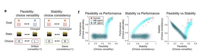 Uncovering brain’s secret to stable yet flexible learning – paving the way for human-like AI​