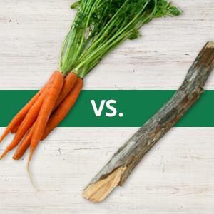 Carrot or Stick? Punishments May Guide Behavior More Effectively Than Rewards