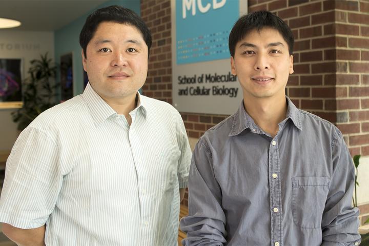Research Team