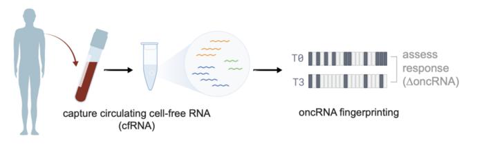 oncRNA-based liquid biopsy