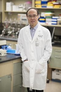 Exercise before Surgery Can Protect both Muscle and Nerves, Study Suggests (2 of 3)