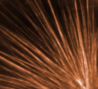 '2-faced' Bioacids Put a New Face on Carbon Nanotube Self-Assembly