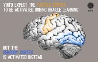Unexpected Area of the Brain Activated by Tactile Task