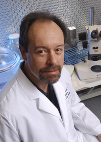Dr. Luis Parada