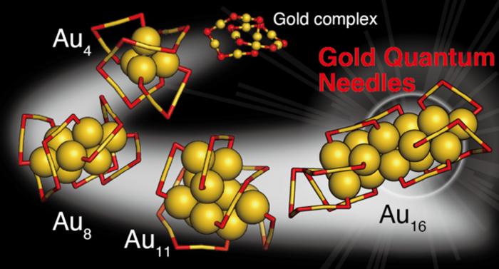 Structural evolution of gold nanoclusters