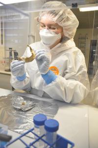 Schuenemann Lab