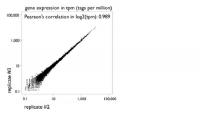 HeliScopeCAGE is a Highly Quantitative Reproducible Technology (1 of 2)