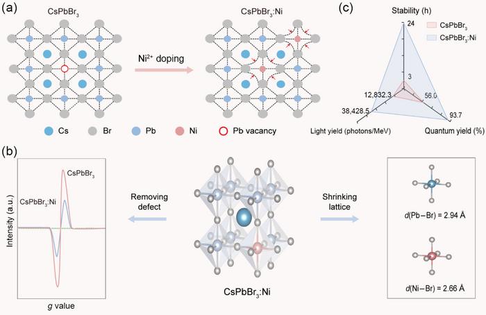 A design concept for incorporating Ni2+ into CsPbBr3 to simultaneously enhance the scintillation performance and environmental robustness of CsPbBr3 Perovskites