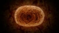 Efficient Solar to Hydrogen Conversion