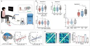 Multimodal Pain Integration Worsen Overall Pain Perception, Precuneus as Key Hub