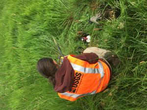 Erin Wirth nodal seismometer Oregon