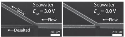 Desalination Microchannel