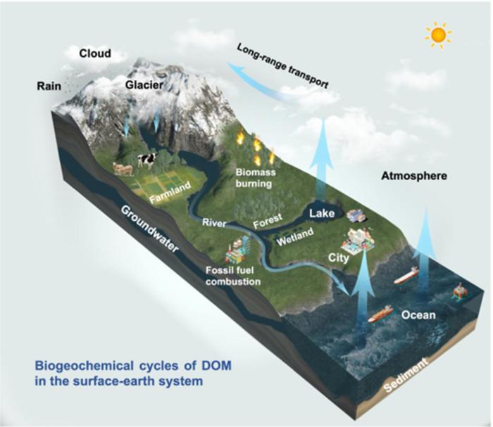 Deciphering dissolved organic matter by Fourier transform ion cyclotron resonance mass spectrometry (FT-ICR MS): from bulk to fractions and individuals