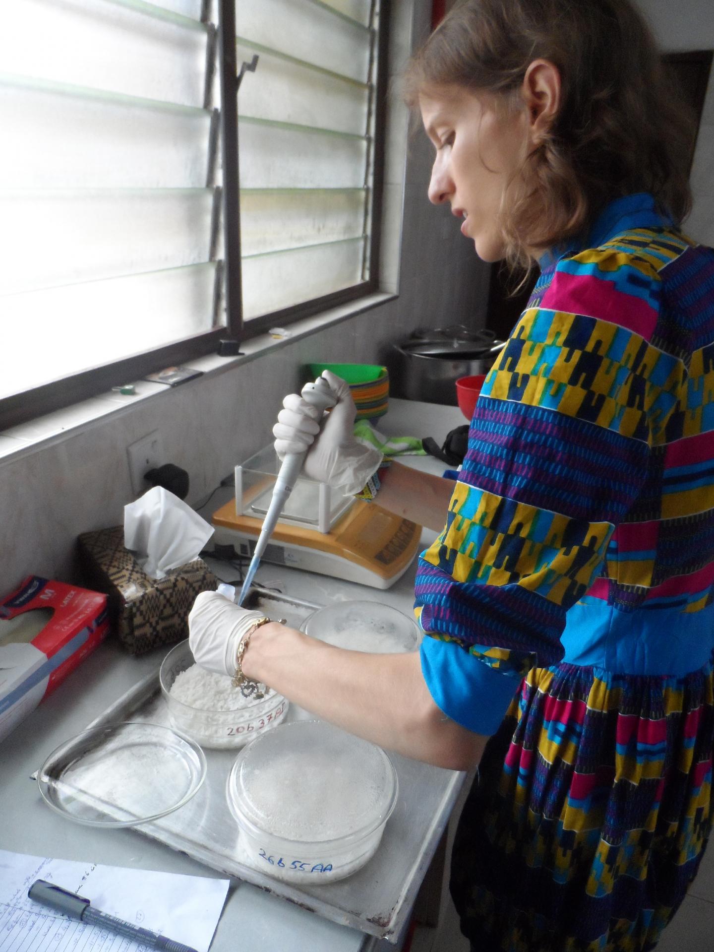 Micronutrient-Fortified Rice Provides More Dietary Iron (2 of 9)
