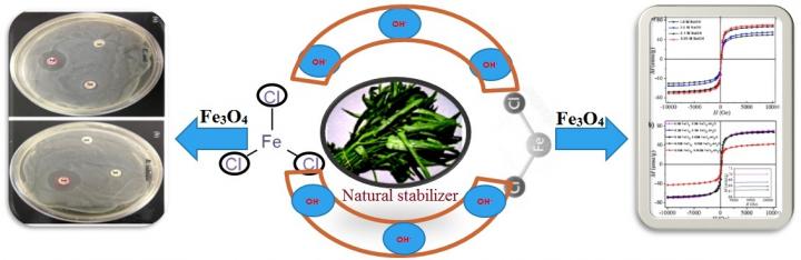 Magnetic Nanoparticles are Synthesized