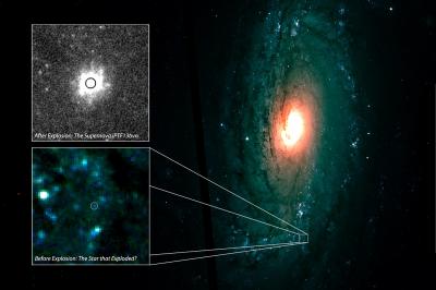 Supernova iPTF13bvn
