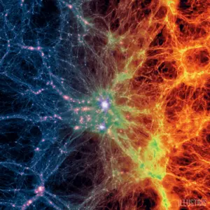 Simulation of the cosmic web