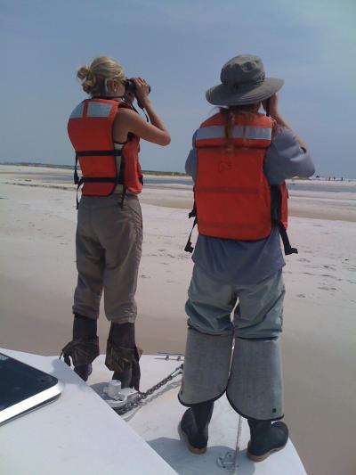 Collecting Data