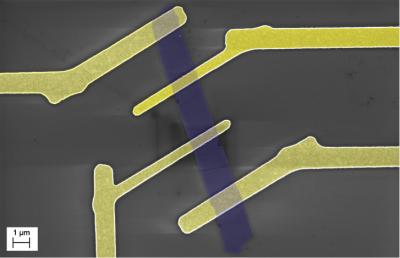 Atomic Force Microscopy Image
