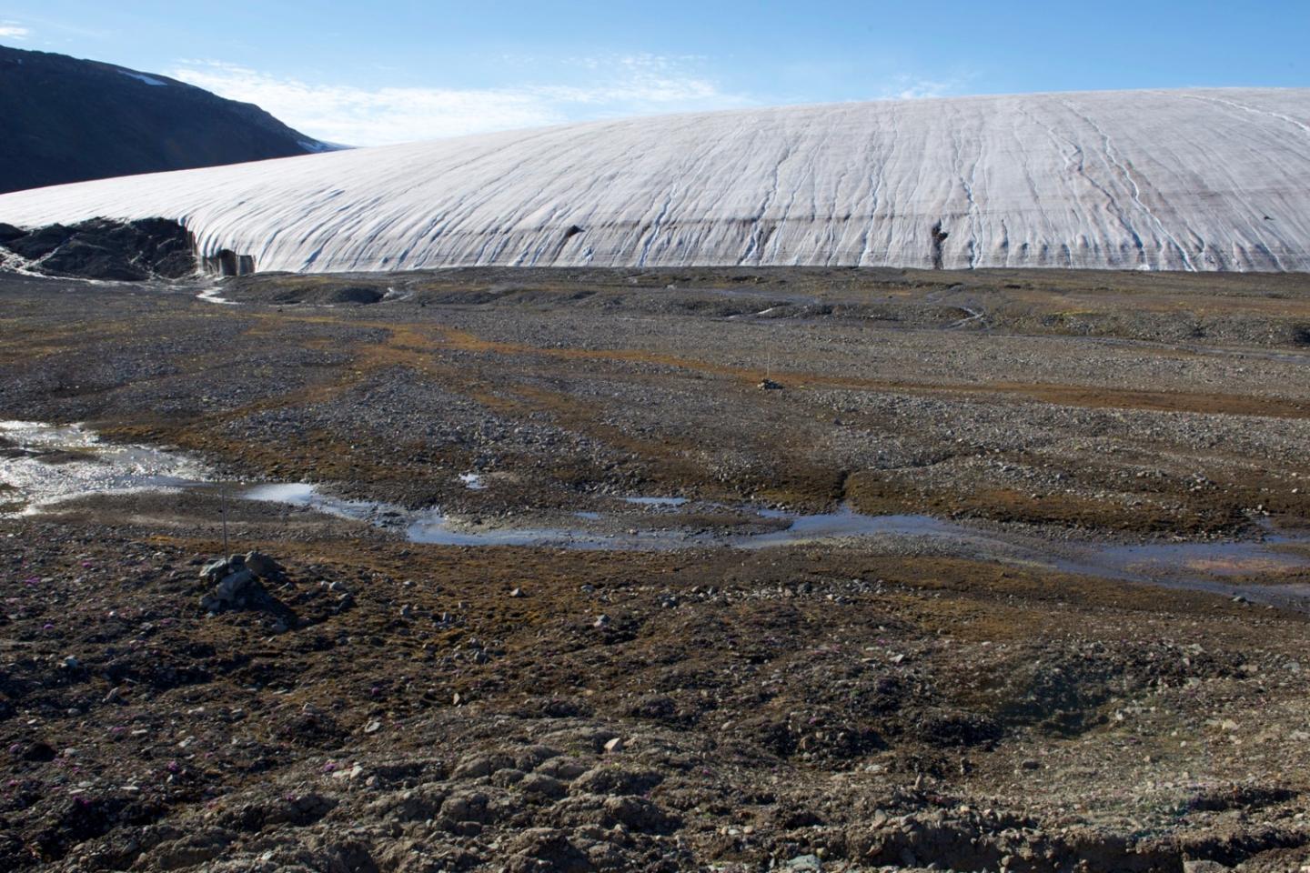 Walker Glacier