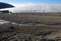 Walker Glacier