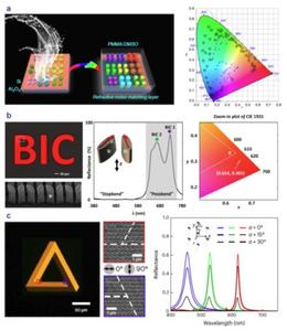 High‑saturation structural colors, quasi‑BIC “Schrödinger’s red”, and plasmonic full‑color nano‑painting