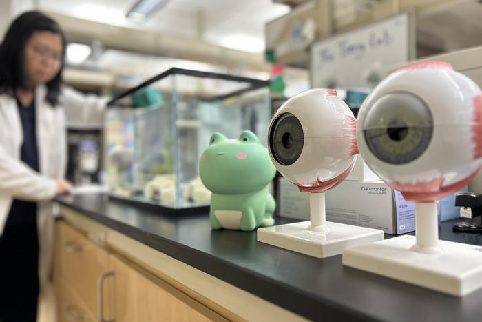 Tseng Lab
