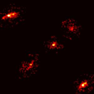 Einstein Cross