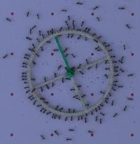 Longhorn Crazy Ants Cooperate to Transfer An Item