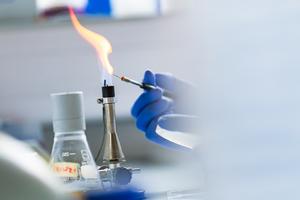 In the lab at ISTA