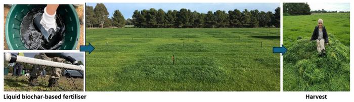 Distinct forms of liquid biochar mineral complex fertilisers differently increase crop yield, nutrient balance and economic return
