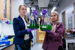 Understanding how bacteria use “sunscreen” to adapt to climate