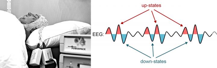 Deep Sleep Brain Waves