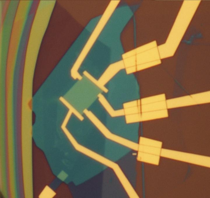 Device