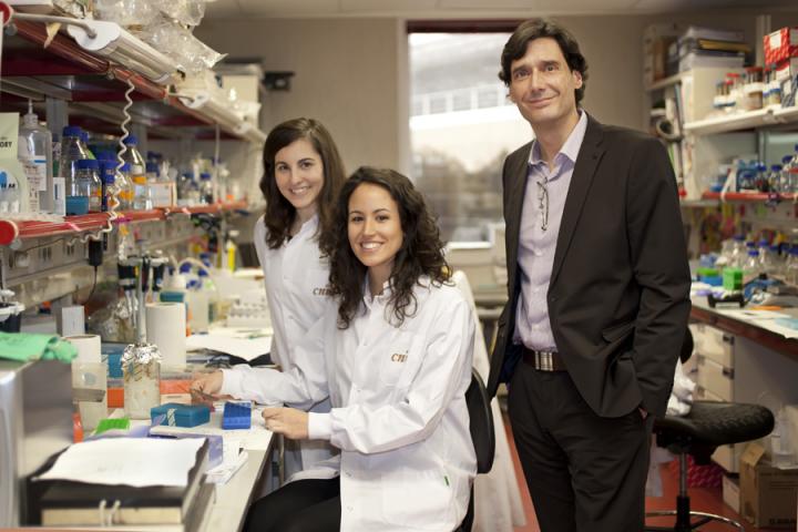 CNIO Researchers