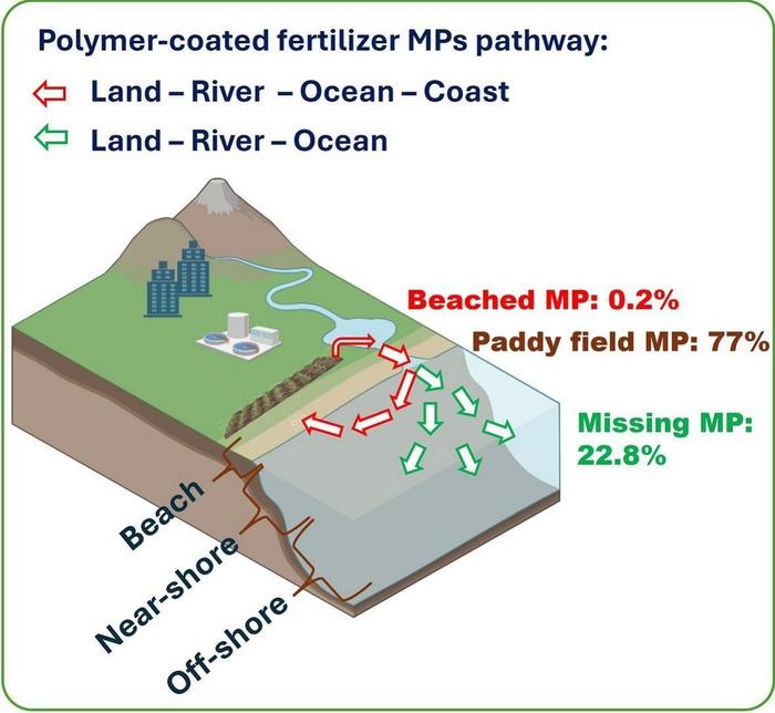 Fate of microplastics in PCFs.