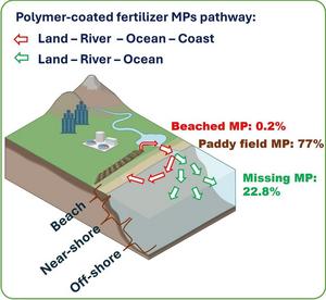 Fate of microplastics in PCFs.