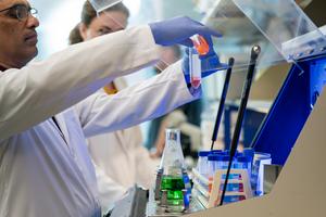 Scientists reverse brain aging, with a nasal spray