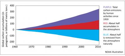 Carbon Budget