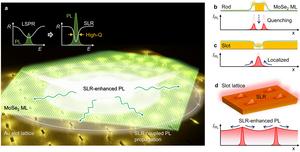 Figure | Schematic illustration of large-area emission enhancement in 2D semiconductors.