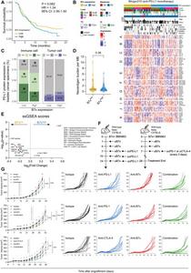 B7x mediates resistance to immune checkpoint blockade, while combination therapy with B7x blockade overcomes resistance