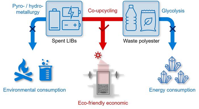 Schematic illustration of the dual-waste co-upcycling strategy