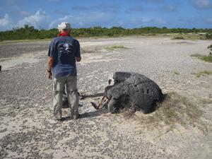 Robert Halley on Anegada