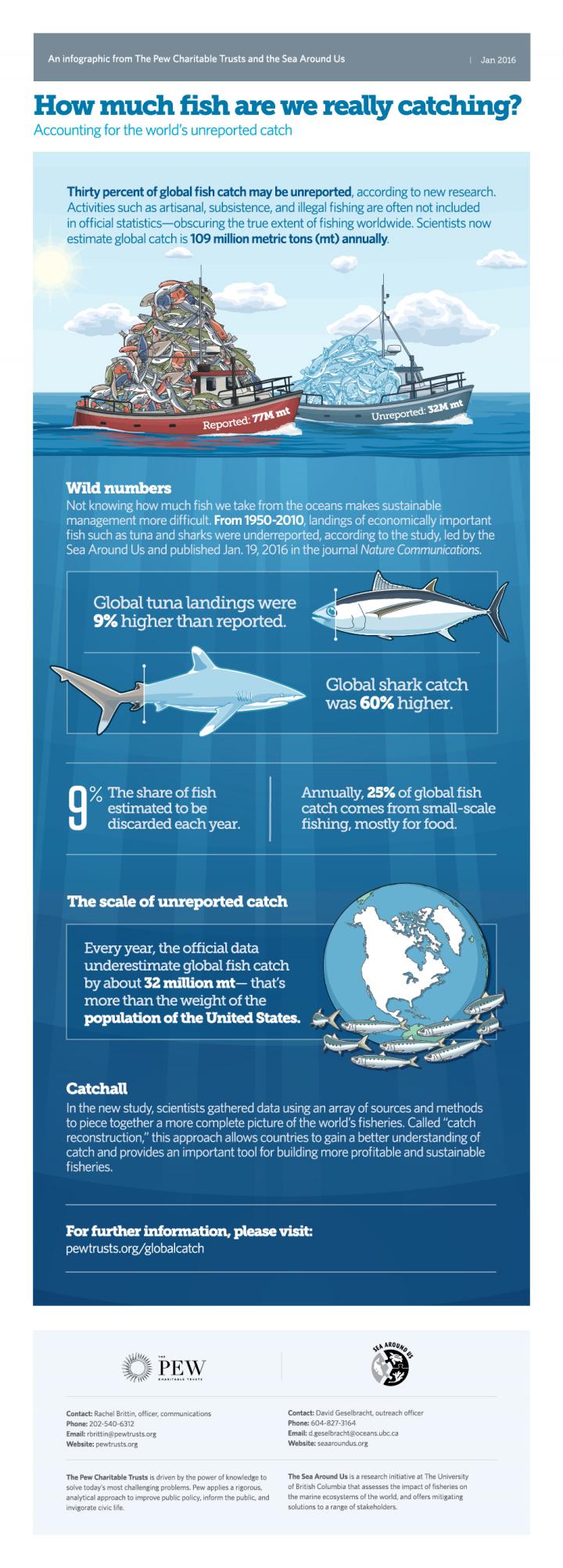 How Much Fish Are We Really Catching?