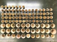 Soil Samples